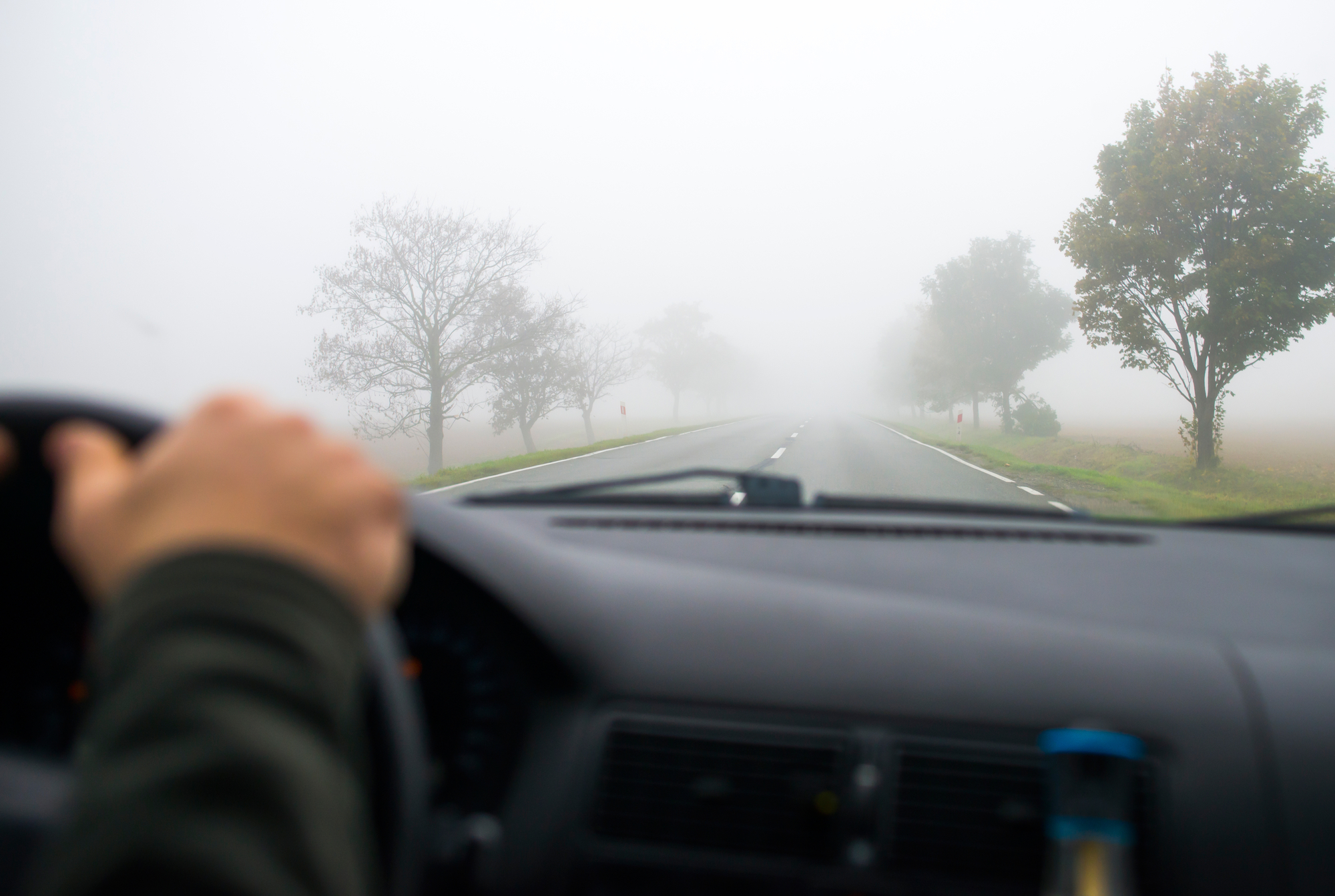 В Запорожской области ожидается сильный туман: водителей предупреждают о плохой видимости на дорогах