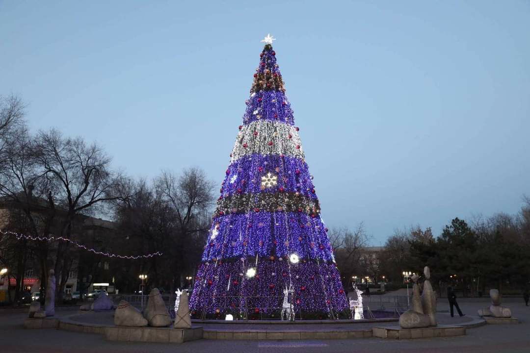 Новогоднюю елку в Запорожье откроют 18 декабря: чем будут удивлять запорожцев