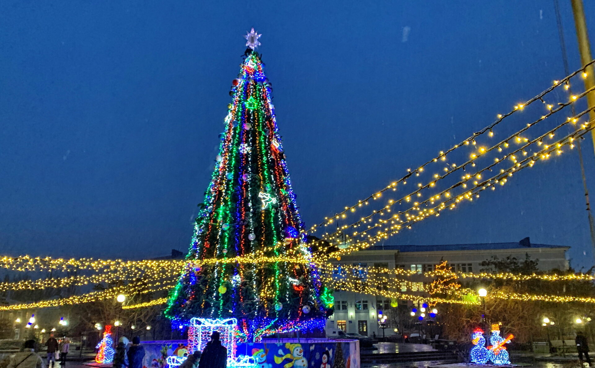 Новогодняя ёлка в Бердянске засияла праздничными огнями (ФОТО)