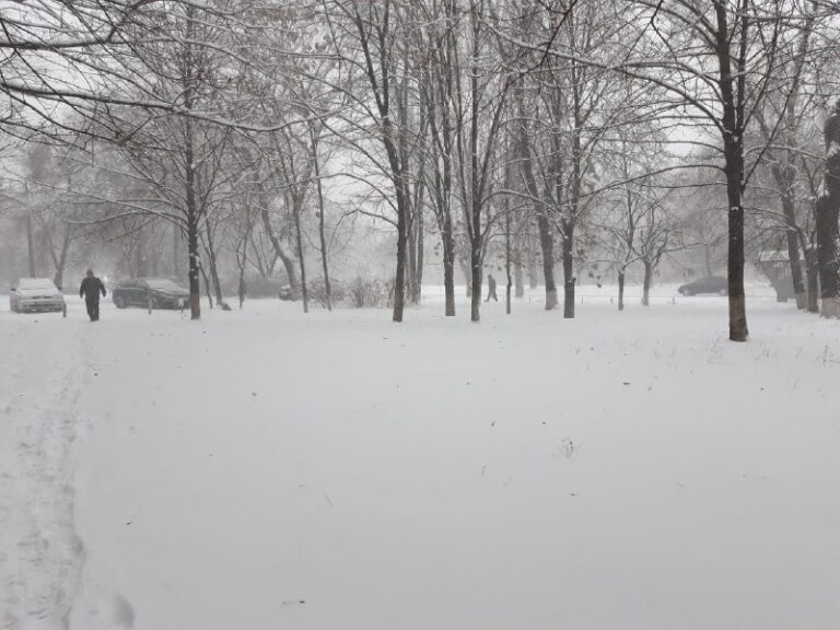 В средине февраля Запорожье засыплет сильным снегом: прогноз синоптика на следующий месяц
