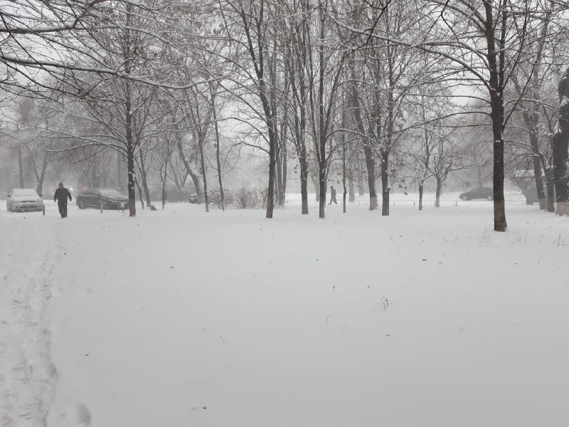 Погода в Запорожье 15 января: мелкий снег