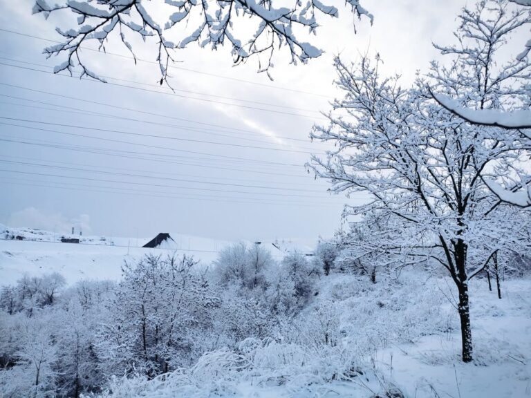 Зима в Запорожье: как выглядит заснеженный город (ФОТО)
