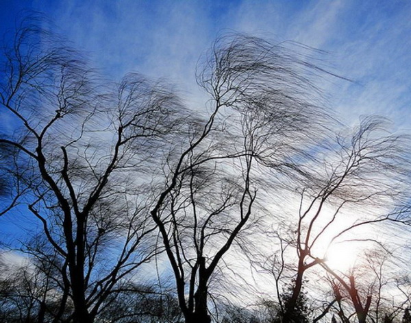 У Запоріжжі прогнозують шквальний вітер 3 лютого: прогноз синоптиків