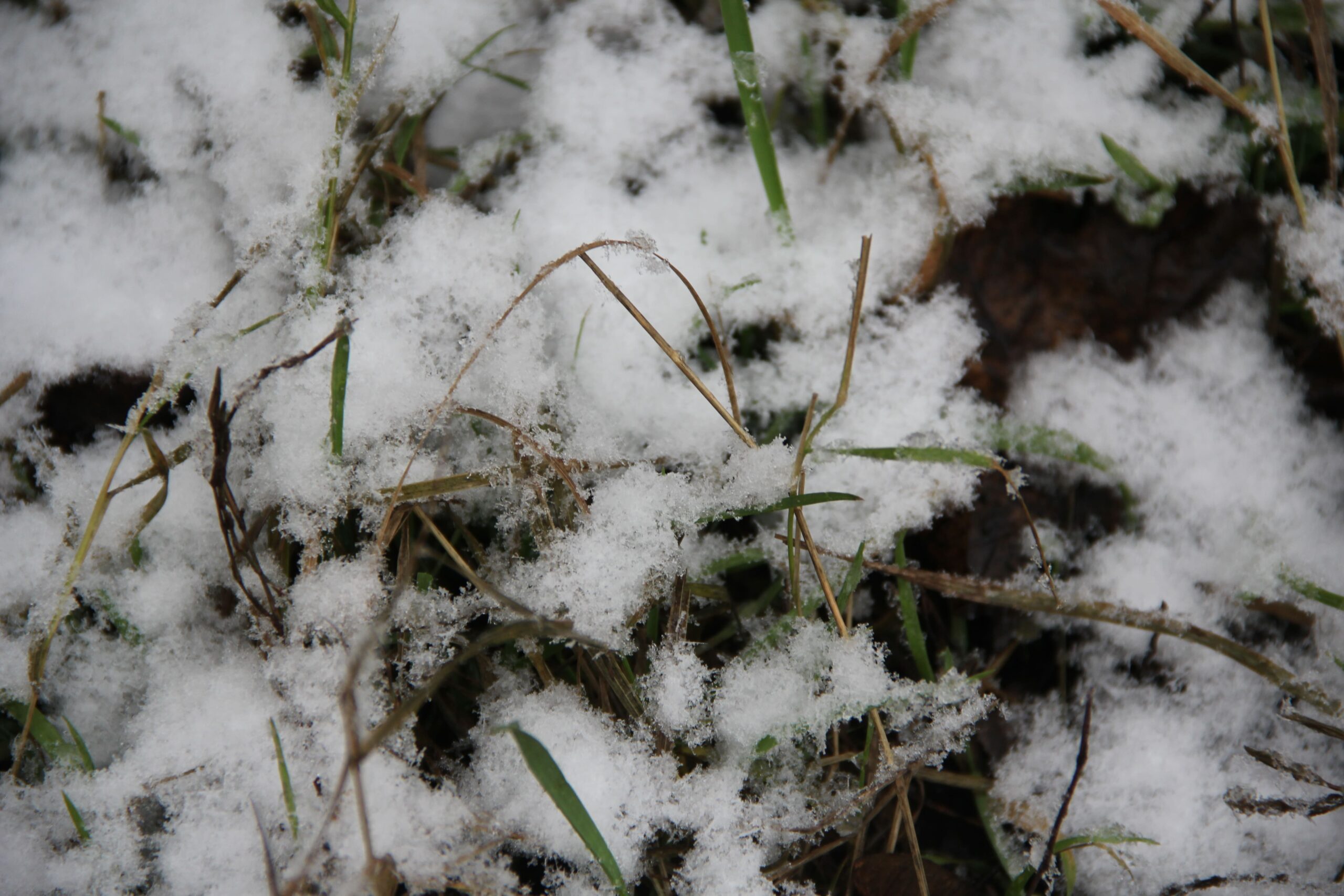 Снегопад и гололедица: в Запорожье прогнозируют ухудшение погоды