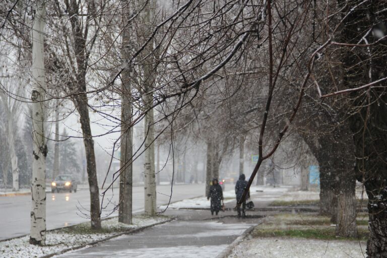 Запорожье засыпает снегом: побелели деревья и крыши зданий (ФОТО)