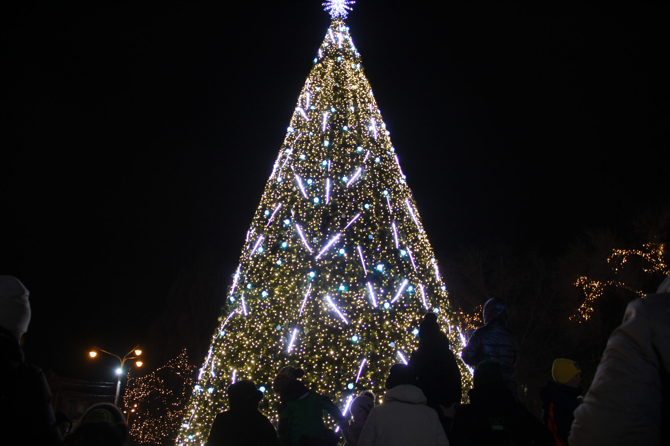 Новогодняя елка на площади Маяковского засияла яркими огнями (ФОТО)