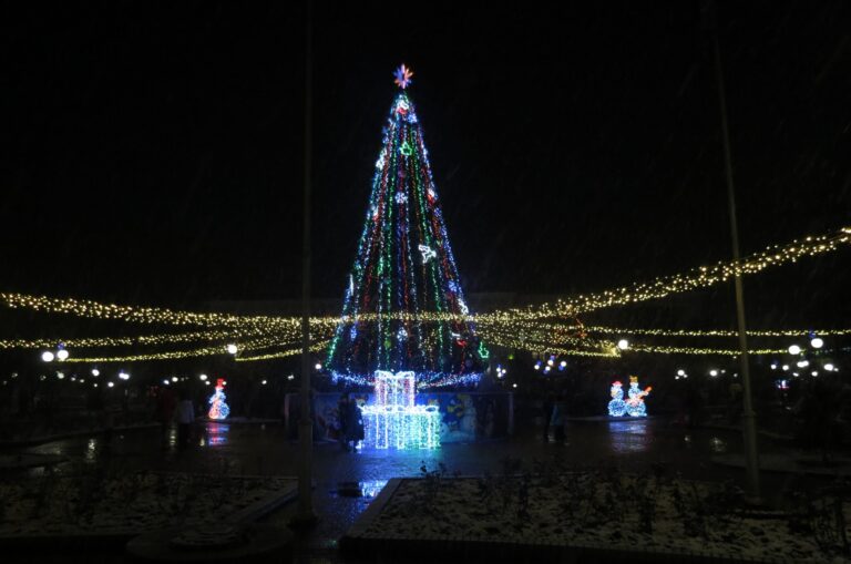 Главную новогоднюю елку Бердянска открыли на площади Единства (ФОТО)