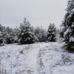 Хортица в снегу