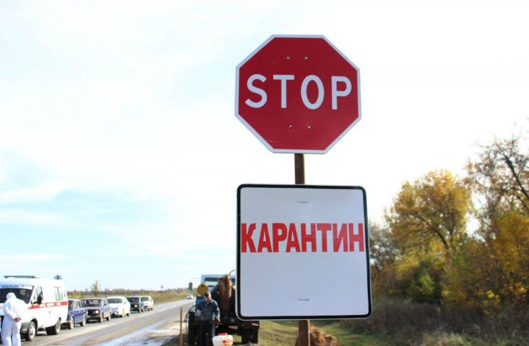 В Запорожской области ввели карантинные ограничения из-за вредного насекомого