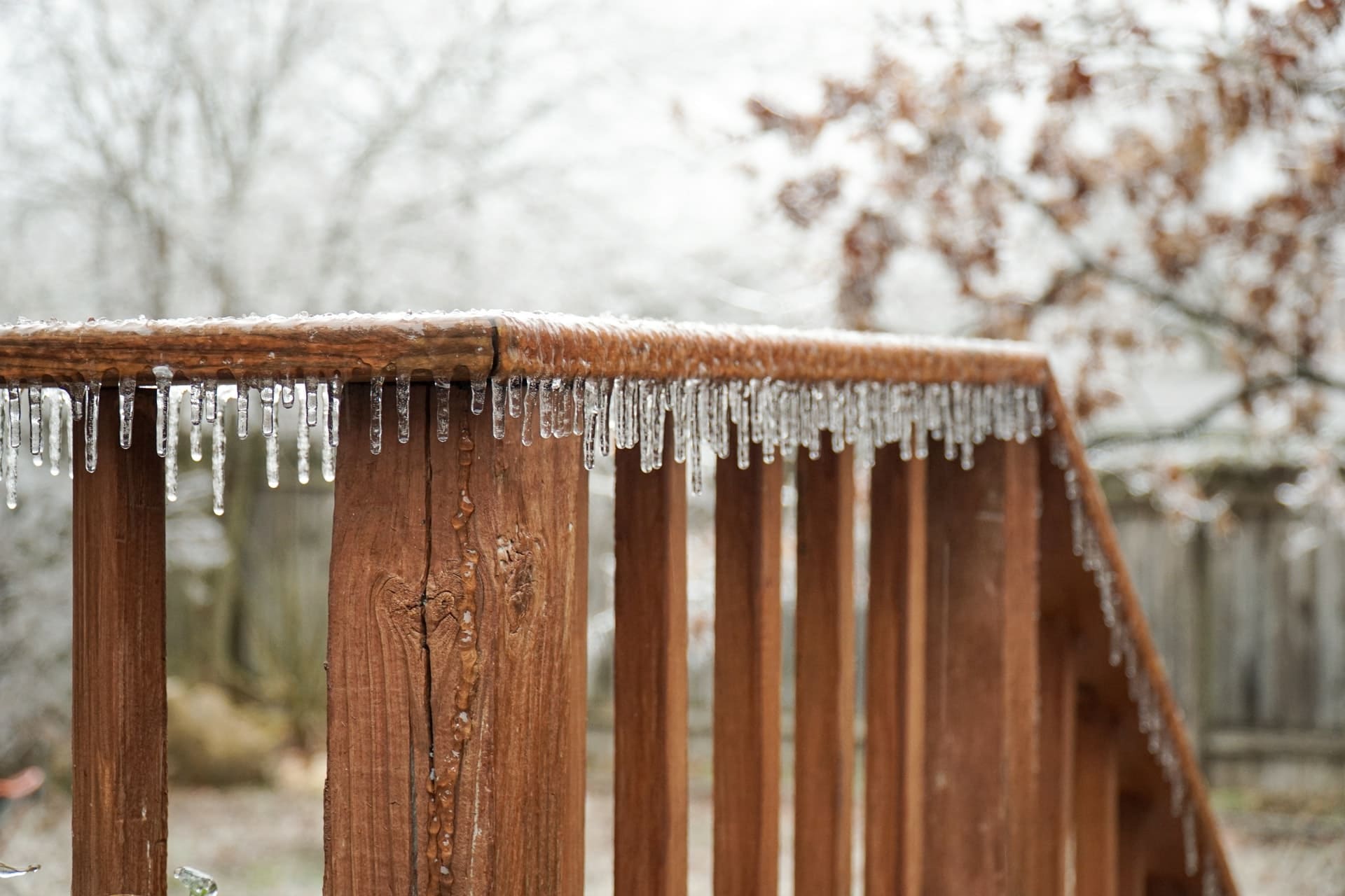 Сильные заморозки в Запорожье: температура снизится до -15 градусов