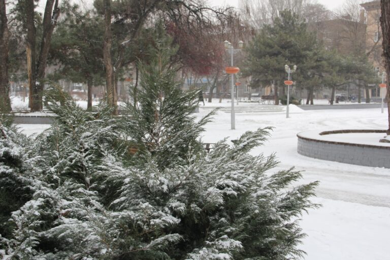 Морози послабляться: синоптики зробили прогноз погоди в Запоріжжі