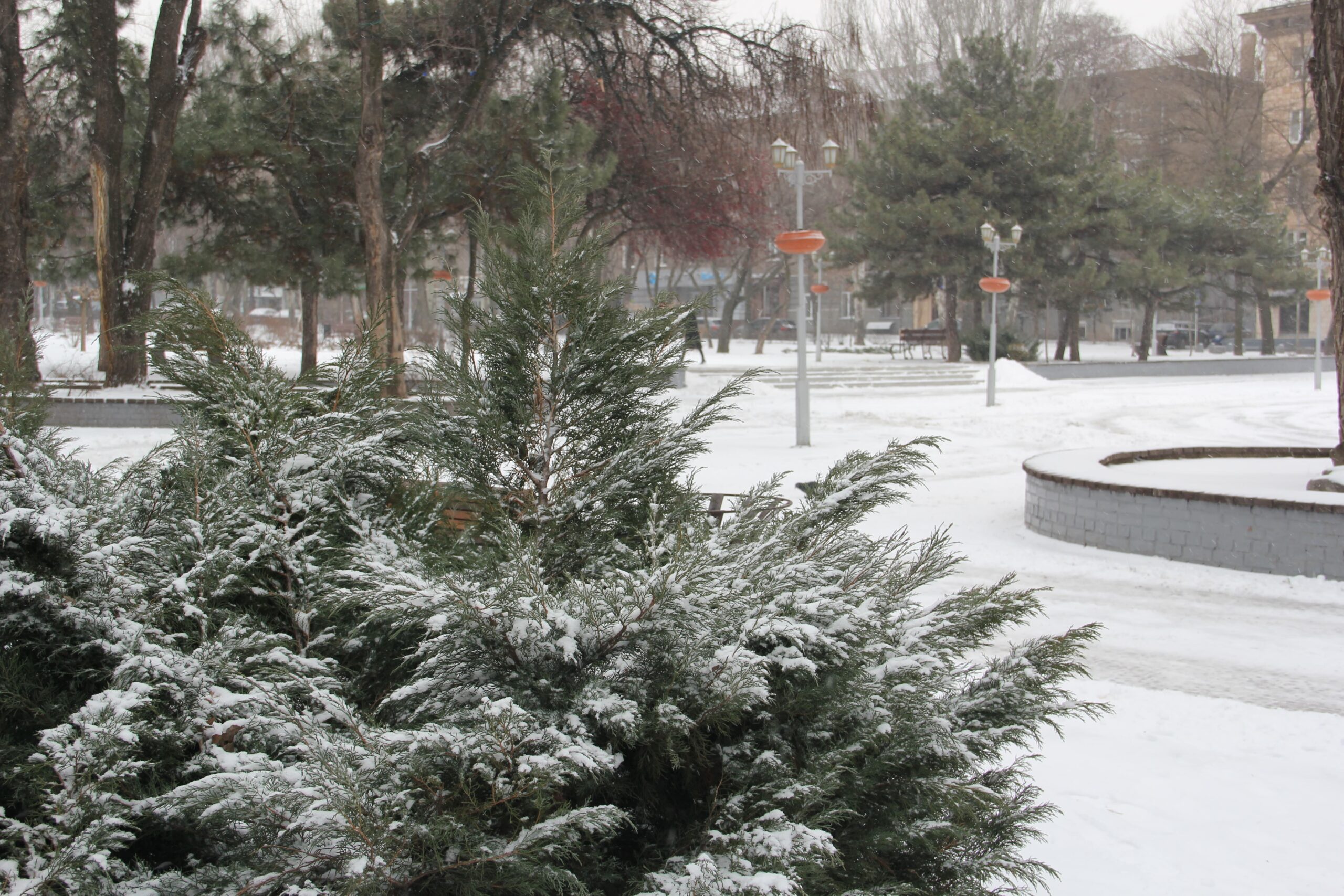Снег и морозы в Запорожье продержатся сегодня весь день
