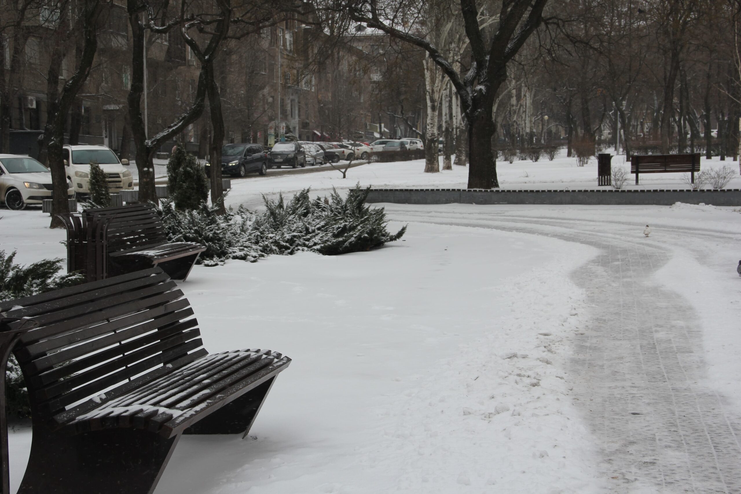 Погода в Запорожье 31 января: облачность и снег