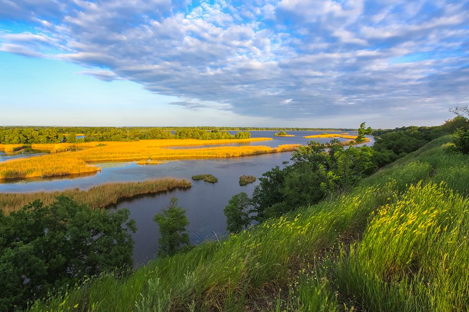 Запорожский национальный парк “Великий Луг” хотят расширить для краснокнижных животных и растений