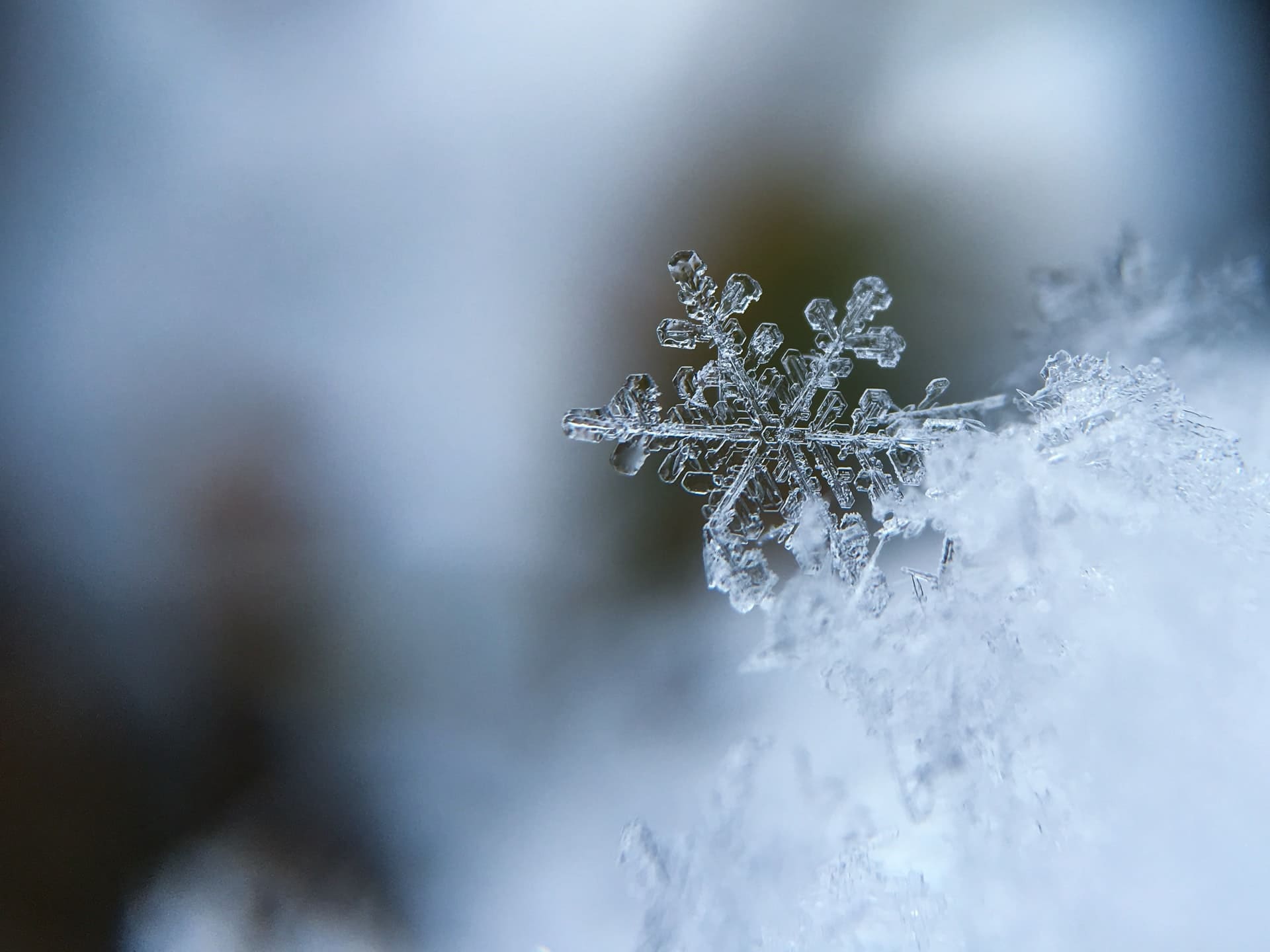 Мелкий снег в Запорожье: какой прогноз погоды на 12 февраля