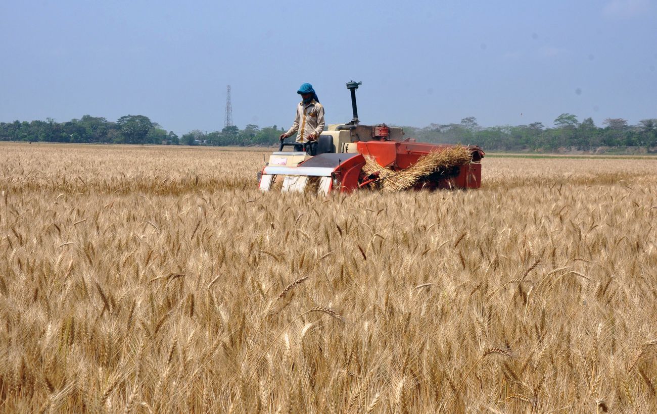 Сезон урожая в Запорожской области под угрозой: оккупанты вывозят украденный товар в россию