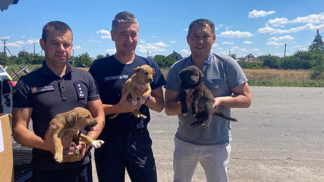 В Каменском спасатели и волонтеры спасли раненых щенков