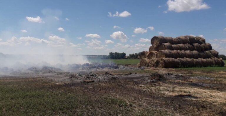 Горящие поля в Запорожской области: что будет с зерновыми в регионе