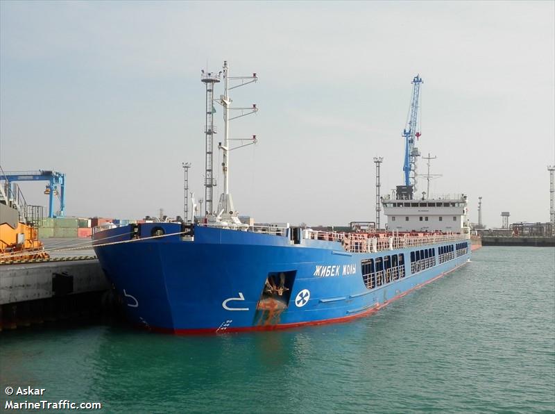 Россияне вывезли 7 тысяч тонн украинского зерна из Бердянского порта: где находится судно сейчас