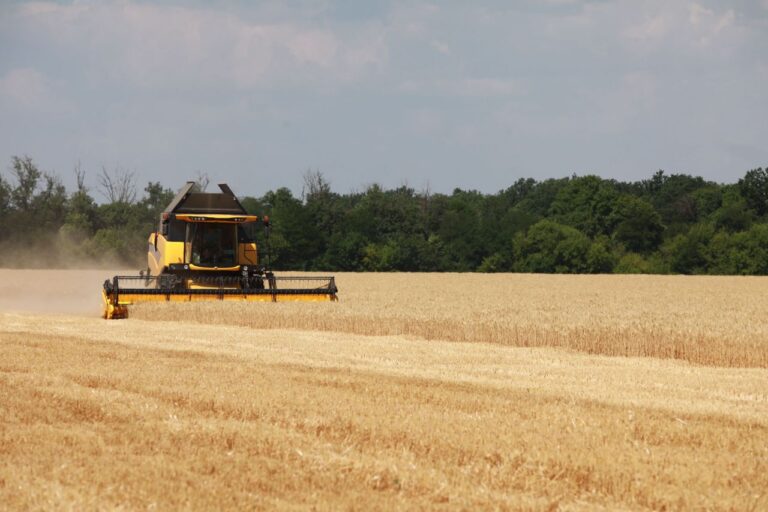 На подконтрольных территориях Запорожской области смогут собрать 400 тысяч тонн зерна