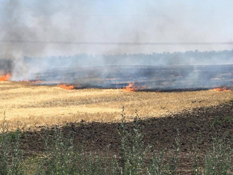 Оккупанты обстреляли ферму в Запорожской области: сгорело 20 гектаров пшеницы