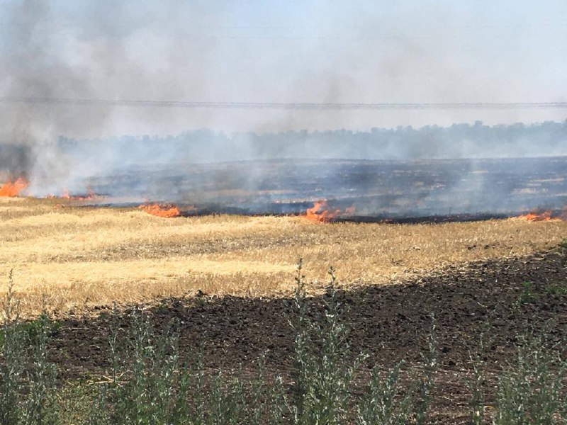 Оккупанты обстреляли Степногорск Запорожской области: сгорело поле с пшеницей