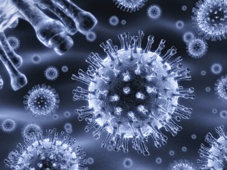 Ротавирусная инфекция: как запорожцам защитить себя от кишечной болезни