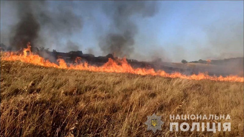 Российские войска обстреляли поля с урожаем в Степногорске (ФОТО)