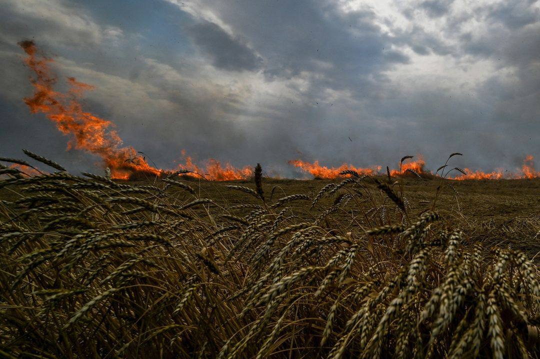 Оккупанты сожгли почти 10 тысяч гектаров полей в Запорожской области