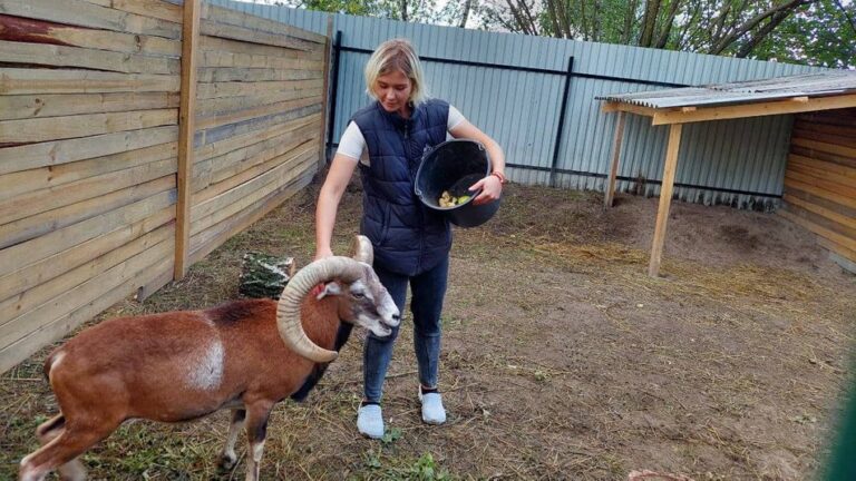 Животных из зоопарка Запорожья эвакуировали во Львовскую область