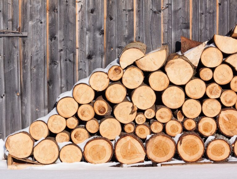 В Пологовский район выделили средства для закупки дров на отопительный сезон