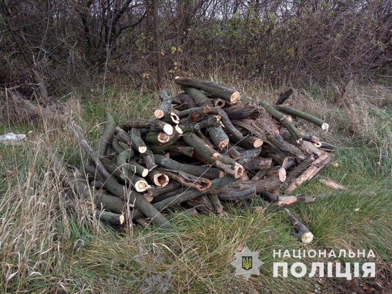 Полиция расследует незаконную вырубку лесов в Запорожской области