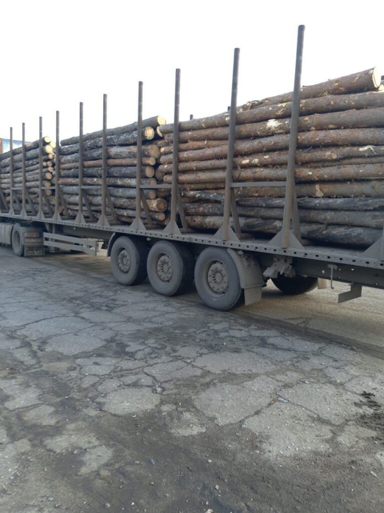 Накануне отопительного сезона в Украине запаслись рекордным количеством дров