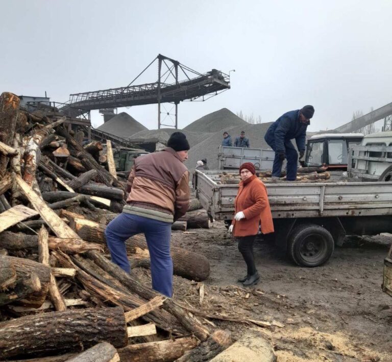Дрова на отопление: громаде в Запорожской области передали древесину для обогрева. ФОТО