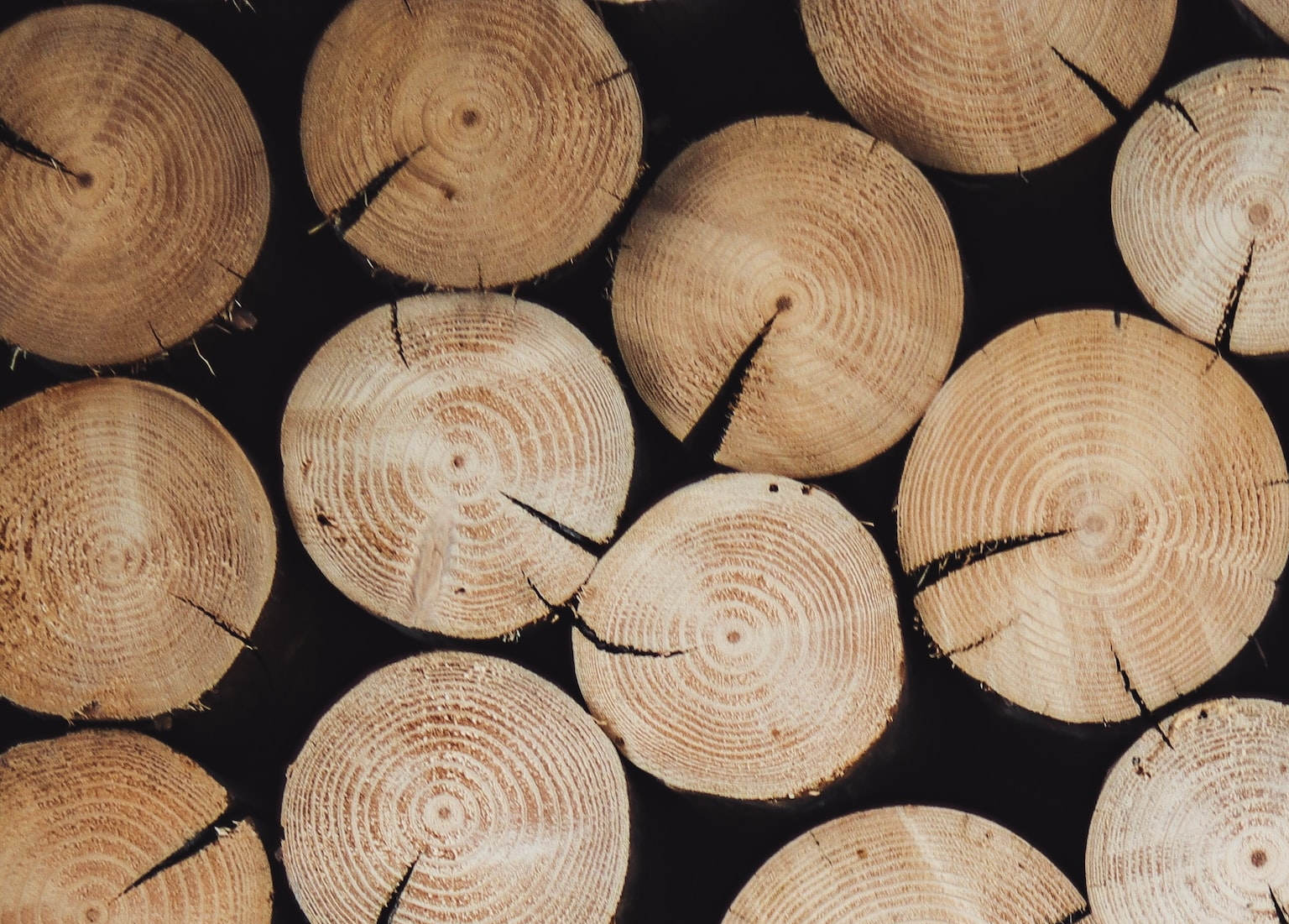 Как выбрать дрова для печи или камина: 7 советов