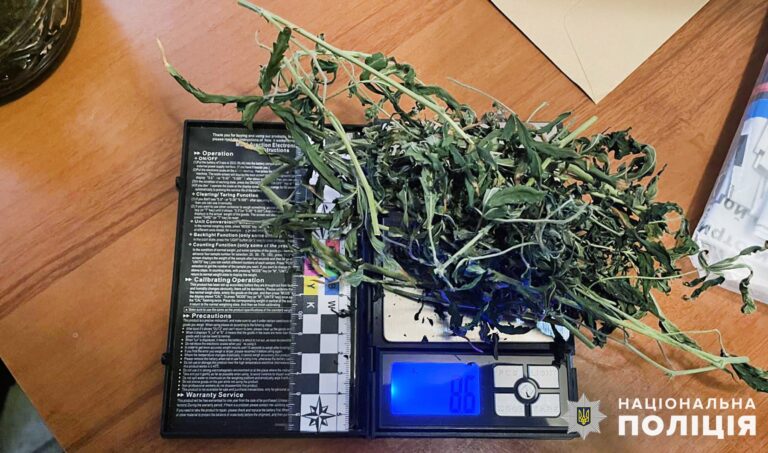 Полицейские в Запорожье изъяли у двух граждан марихуану. ФОТО