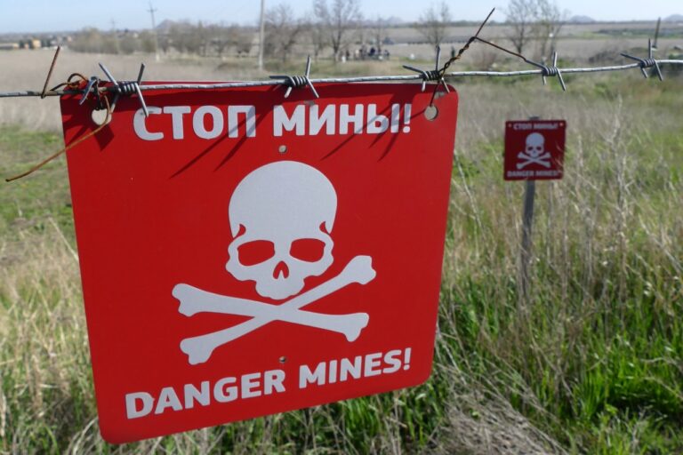 Спасатели обнаружили российские снаряды и мины в Запорожской области
