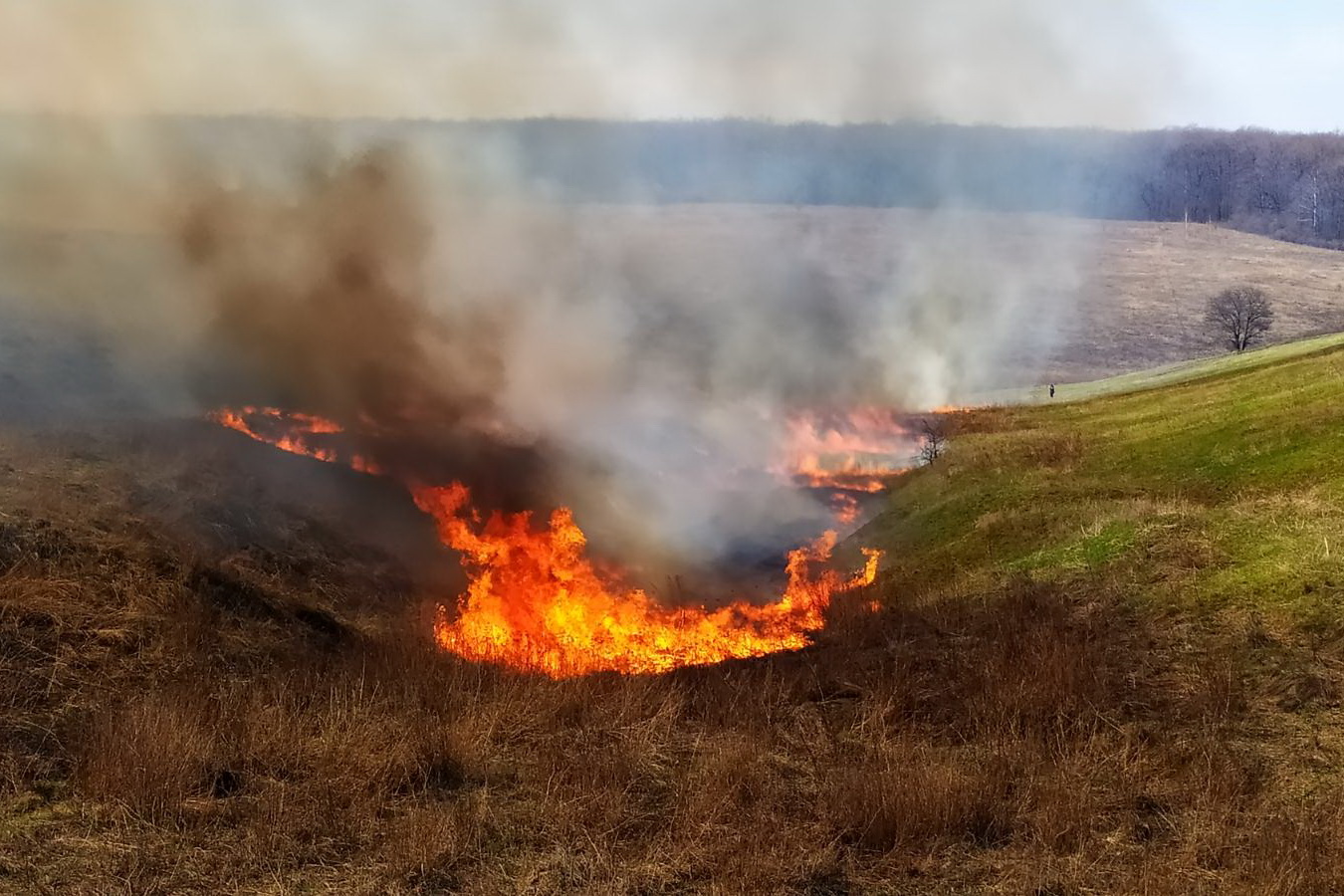 Спасатели назвали причины пожаров на открытых территориях в Запорожской области