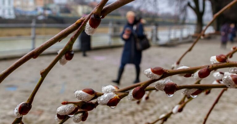 Погода у Запоріжжі 14 лютого: про що попереджають синоптики
