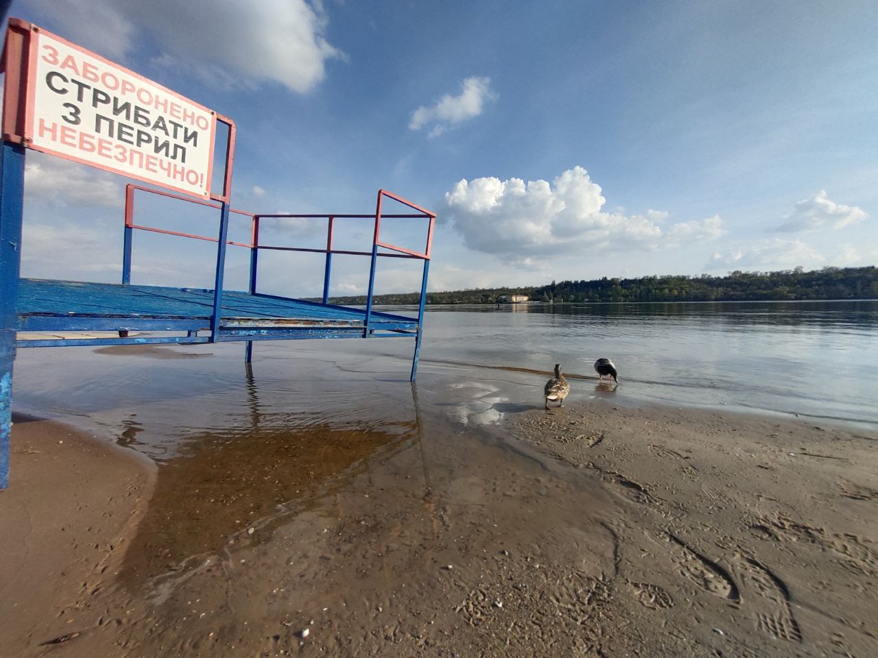 Запорожцев просят не купаться в Днепре из-за загрязнения и размножения бактерий