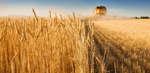 Россия планирует вывезти 1,5 миллиона тонн зерна на Запорожье, – Федоров