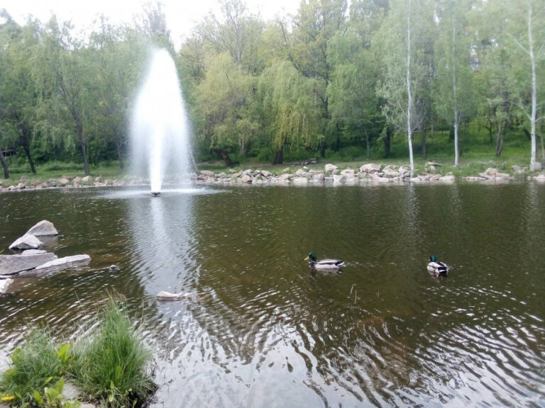 Плавающие фонтаны заработали в парке в Запорожье. ФОТО