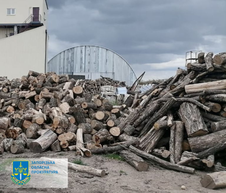 Незаконная вырубка в Запорожской области: прокуратура изъяла древесины на 400 тысяч гривен. ФОТО