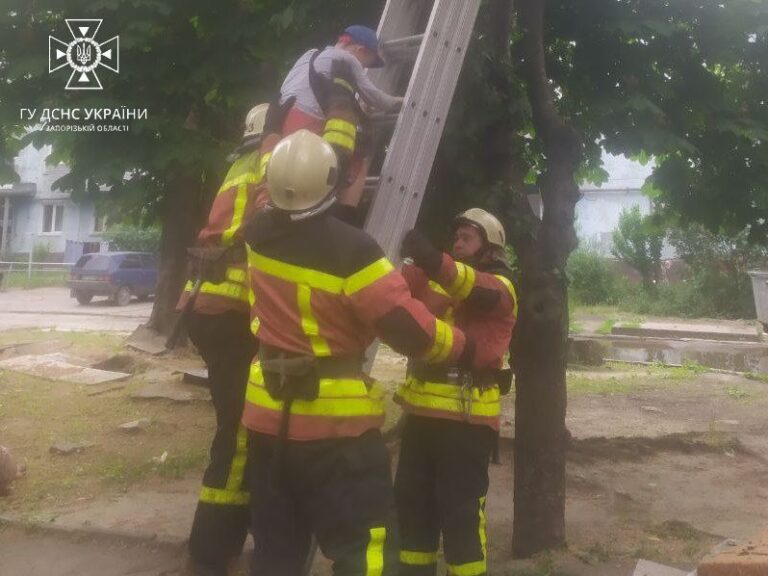 Спасатели достали с дерева мальчика в Запорожье
