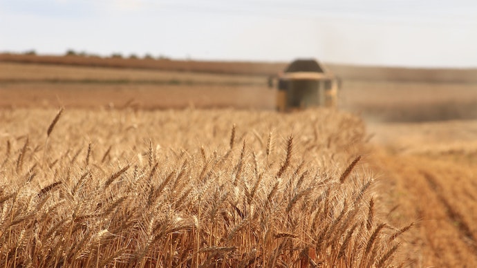 Оккупанты усилили учет украденного зерна в Запорожской области