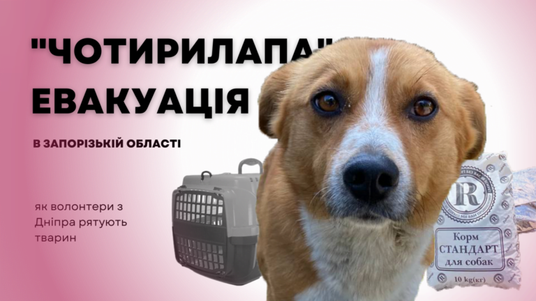 «Чотирилапа» евакуація в Запорізькій області: як волонтери з Дніпра рятують тварин