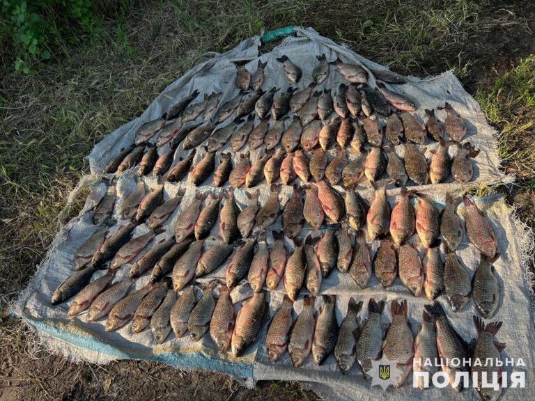 Наловил рыбы на 183 тысячи гривен: в Запорожской области поймали браконьера. ФОТО