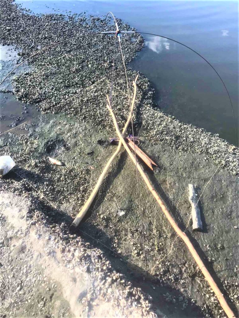 На центральном пляже в Запорожье задержали рыбаков за ловлю рыбы