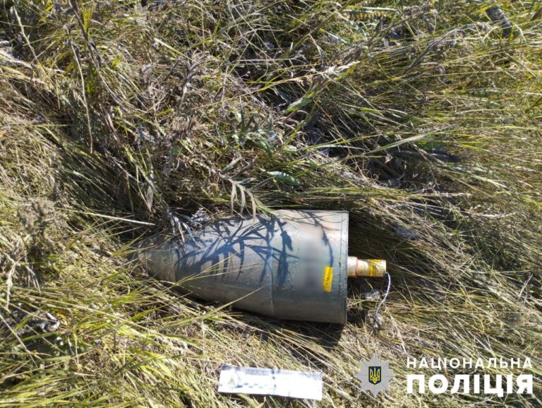 Взрывотехники уничтожили в Запорожье остатки иранского дрона. ФОТО