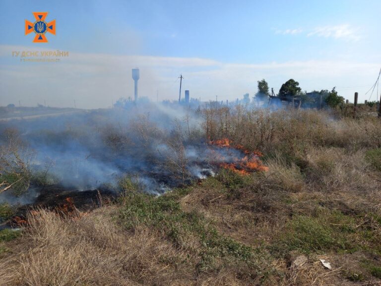 Из-за обстрелов Запорожской области в регионе возникло восемь пожаров: подробности